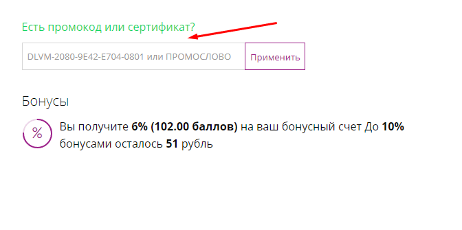Поле для ввода промокода netPrint.ru