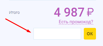Поле для ввода промокода Tripinsurance.ru
